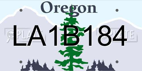 LA1B184 Oregon License Plate