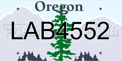 LAB4552 Oregon License Plate