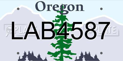LAB4587 Oregon License Plate