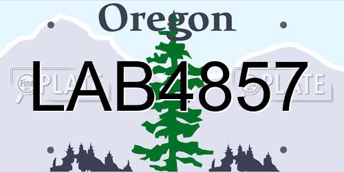 LAB4857 Oregon License Plate