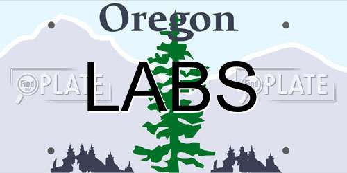 LABS Oregon License Plate