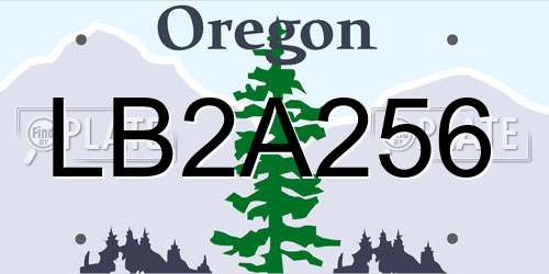 LB2A256 Oregon License Plate