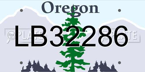 LB32286 Oregon License Plate