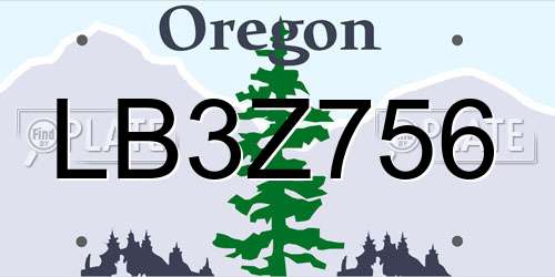 LB3Z756 Oregon License Plate