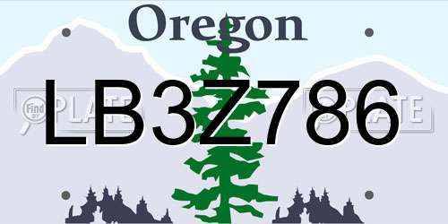LB3Z786 Oregon License Plate
