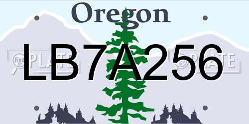 LB7A256 Oregon License Plate