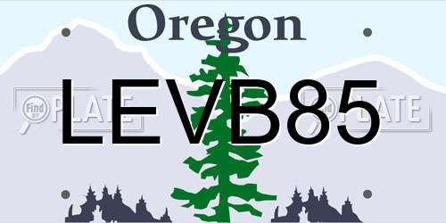 LEVB85 Oregon License Plate