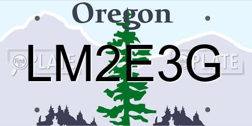 LM2E3G Oregon License Plate