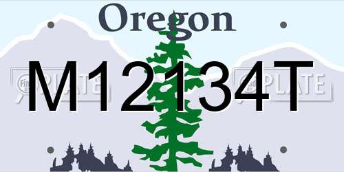 M12134T Oregon License Plate