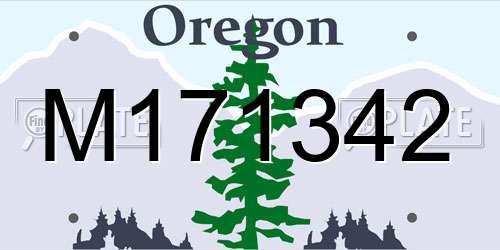 M171342 Oregon License Plate