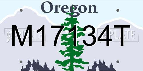 M17134T Oregon License Plate