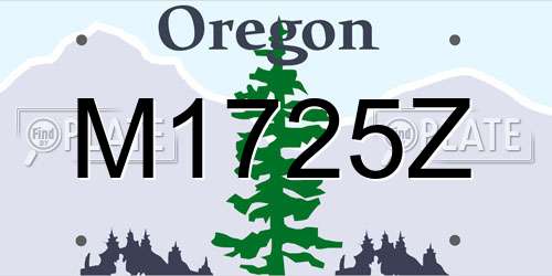 M1725Z Oregon License Plate