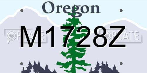 M1728Z Oregon License Plate