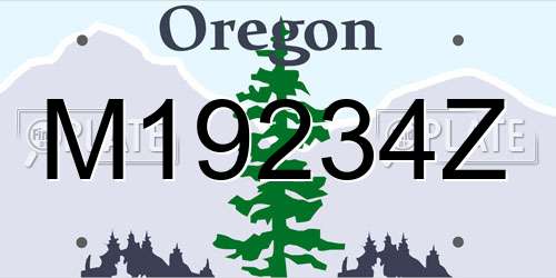 M19234Z Oregon License Plate