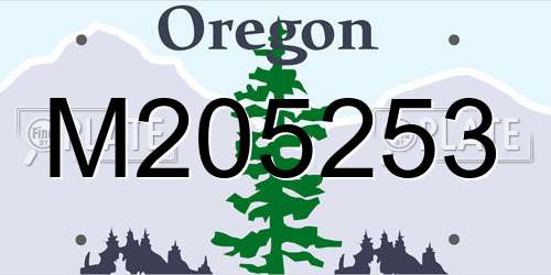 M205253 Oregon License Plate