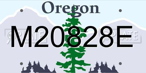 M20828E Oregon License Plate