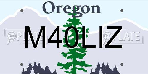 M40LIZ Oregon License Plate
