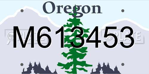 M613453 Oregon License Plate
