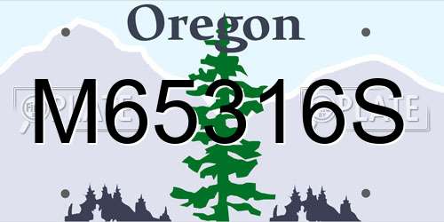 M65316S Oregon License Plate