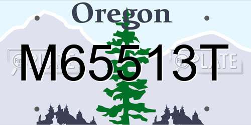 M65513T Oregon License Plate