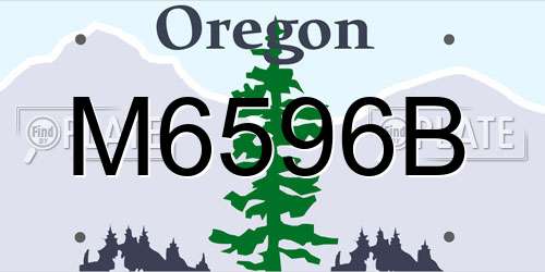 M6596B Oregon License Plate