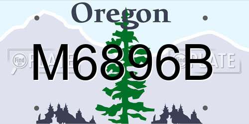 M6896B Oregon License Plate