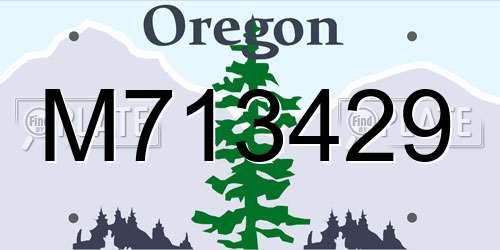 M713429 Oregon License Plate
