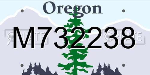 M732238 Oregon License Plate