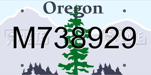 M738929 Oregon License Plate