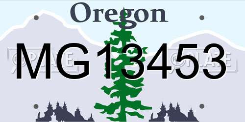 MG13453 Oregon License Plate