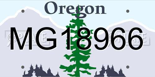 MG18966 Oregon License Plate