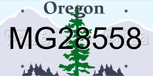 MG28558 Oregon License Plate