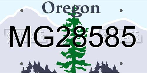 MG28585 Oregon License Plate