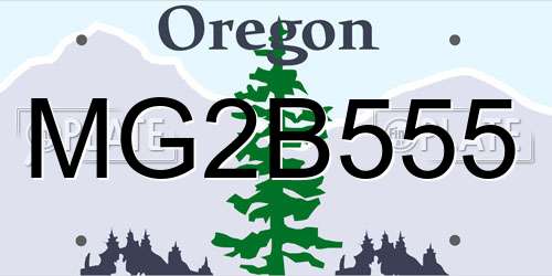 MG2B555 Oregon License Plate
