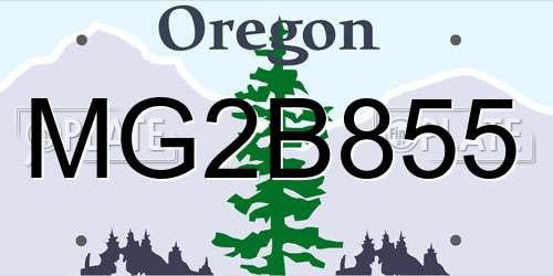 MG2B855 Oregon License Plate