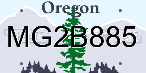MG2B885 Oregon License Plate