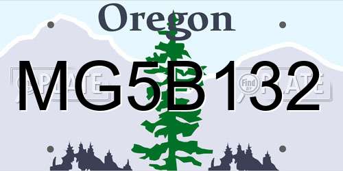 MG5B132 Oregon License Plate