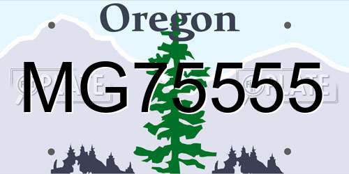 MG75555 Oregon License Plate