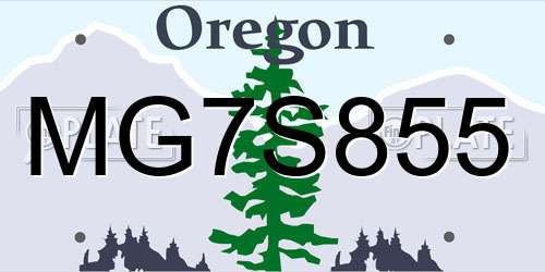 MG7S855 Oregon License Plate