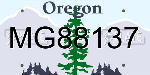 MG88137 Oregon License Plate