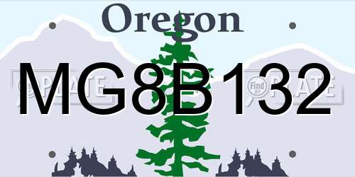 MG8B132 Oregon License Plate