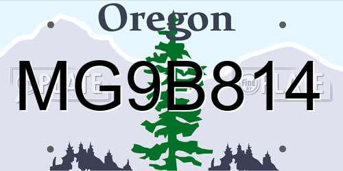 MG9B814 Oregon License Plate