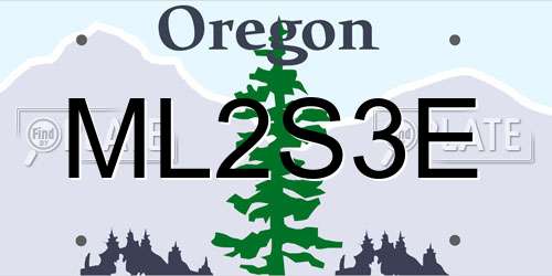 ML2S3E Oregon License Plate