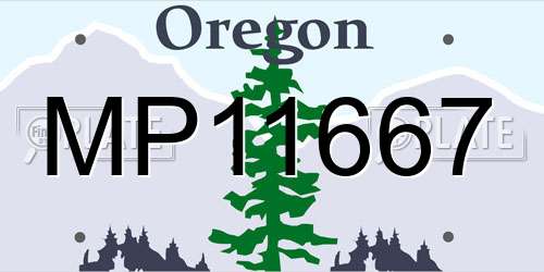 MP11667 Oregon License Plate