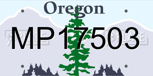 MP17503 Oregon License Plate