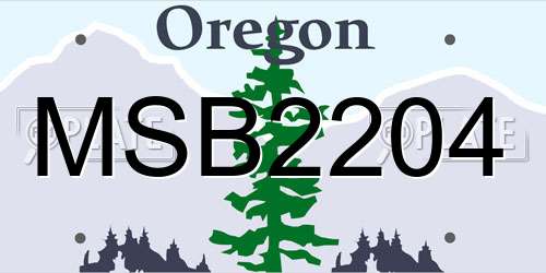 MSB2204 Oregon License Plate
