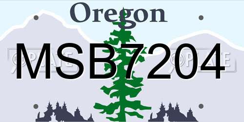 MSB7204 Oregon License Plate