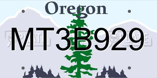 MT3B929 Oregon License Plate