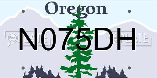N075DH Oregon License Plate