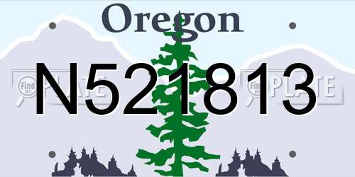 N521813 Oregon License Plate